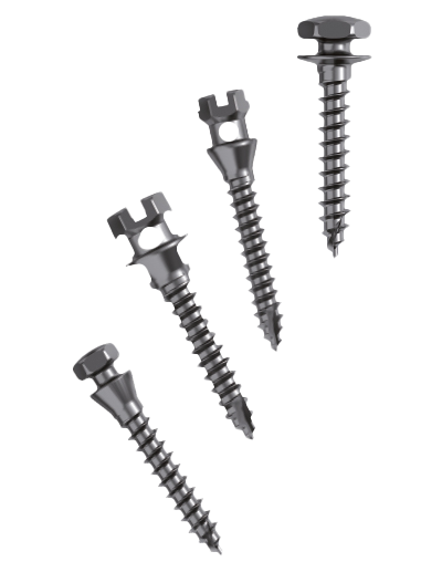 Minivis orthodontiques